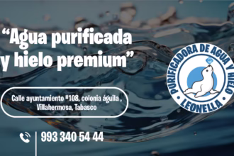 Agua Purificada: Fuente De Salud, Bienestar Y Equilibrio