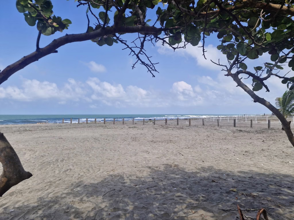 Playa Palmeritas: El Tesoro Escondido Del Caribe Tabasqueño Que Debes Descubrir 72 481276248 122109417788770322 6001638721675350889 N