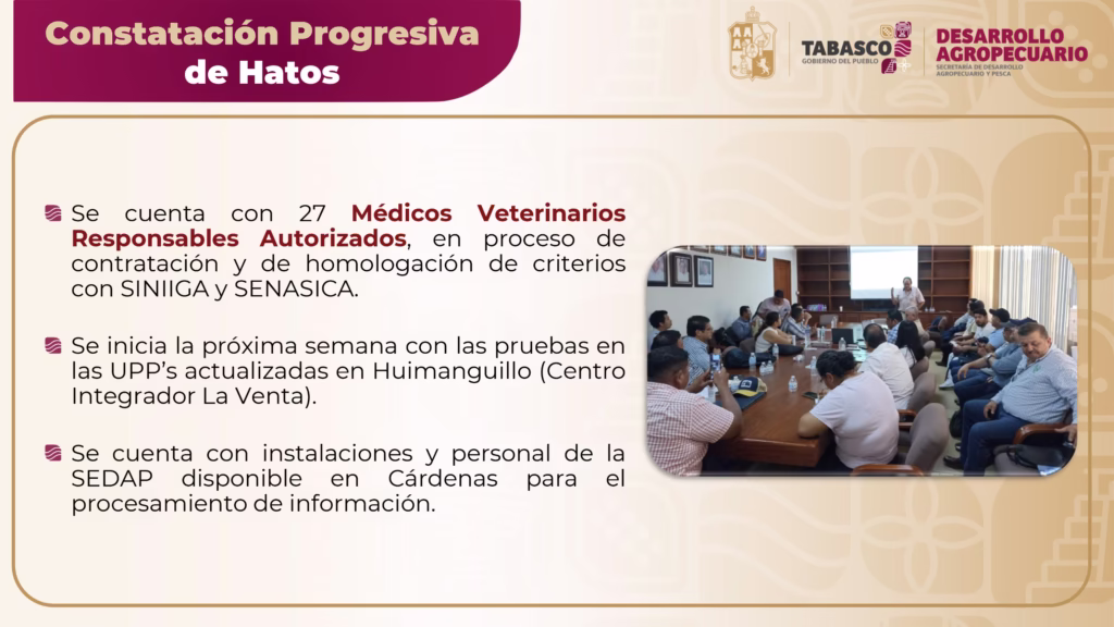 El Gobierno Del Pueblo Impulsa La Ganadería: 4,260 Novillonas Y 426 Sementales Ya Fueron Entregados 72 56846134 387F 418E B852 83Bce7064C93