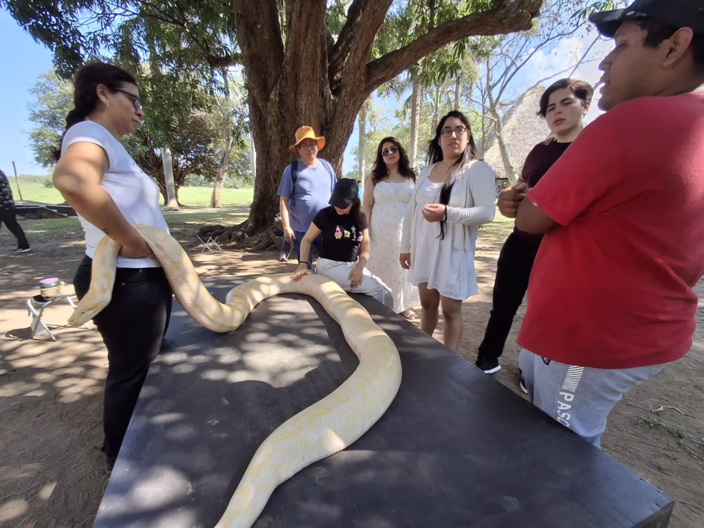 &Quot;Yumka’ Celebra 32 Años Como Ícono De Conservación Y Turismo En Tabasco&Quot; 83 Yumka 72