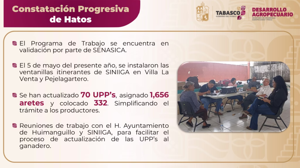 El Gobierno Del Pueblo Impulsa La Ganadería: 4,260 Novillonas Y 426 Sementales Ya Fueron Entregados 73 A27Ae365 C6A0 4489 B9Dd 450A34B4Dfa6