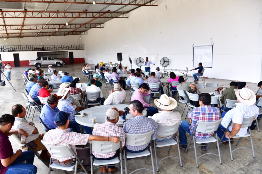 Disminuyen Los Casos De Gusano Barrenador En Tabasco Gracias A Estrategias De Control: Sedap 72 505842490 1027977592849018 1170032662173143863 N