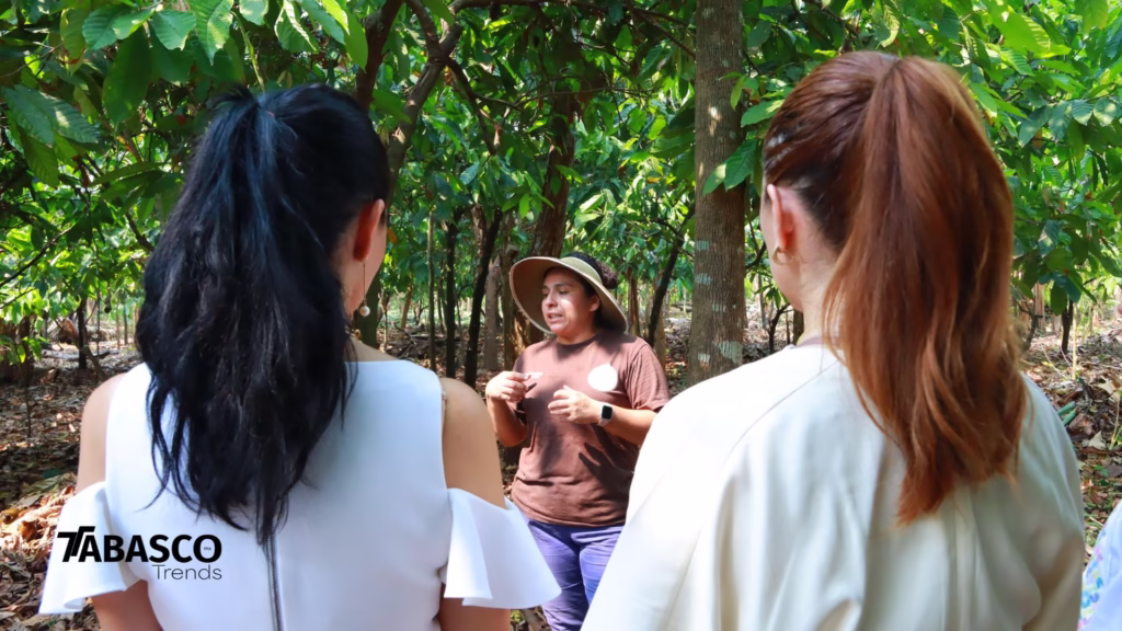 Diputadas Federales, Beatriz Milland Y Gabriela Jiménez Recorren Tabasco: Tradición, Cacao Y Gastronomía 82 76