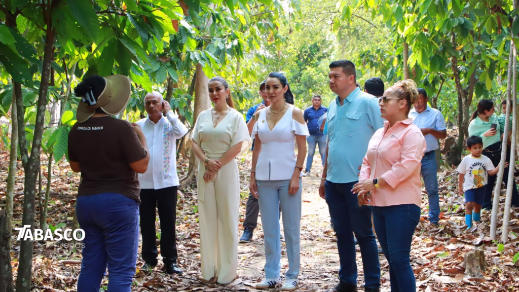 Diputadas Federales, Beatriz Milland Y Gabriela Jiménez Recorren Tabasco: Tradición, Cacao Y Gastronomía 79 77