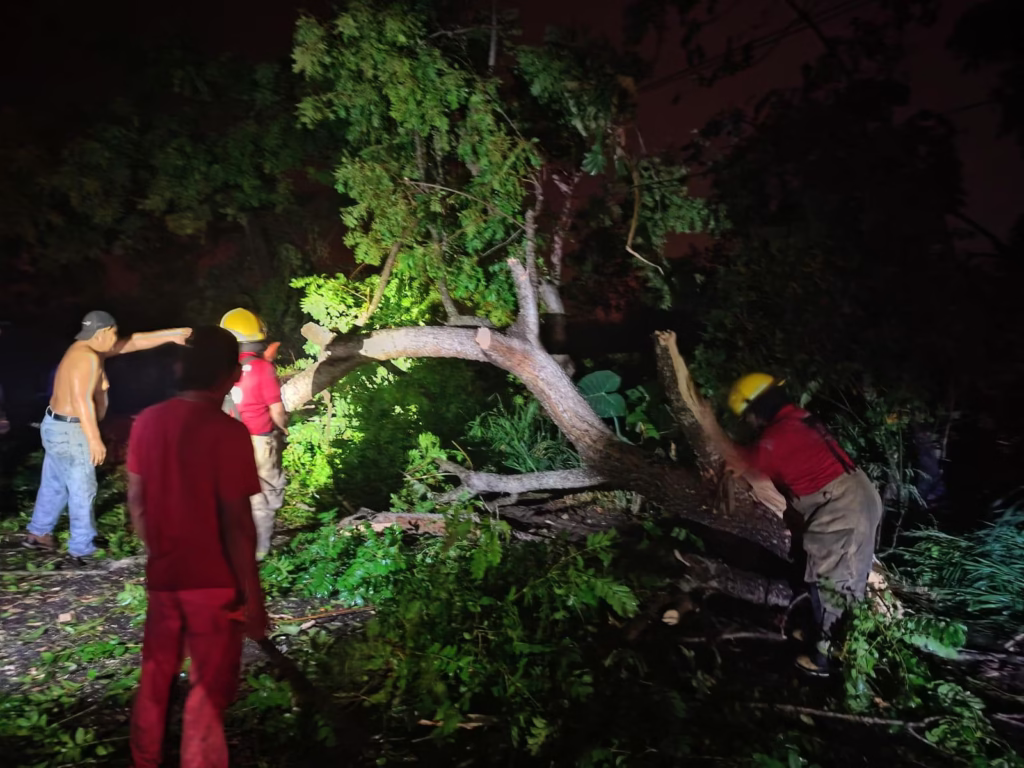 Cuerpos De Emergencia Atienden Daños Por Intensas Lluvias En Centro, Tabasco 73 Whatsapp Image 2025 06 12 At 1.42.06 Pm