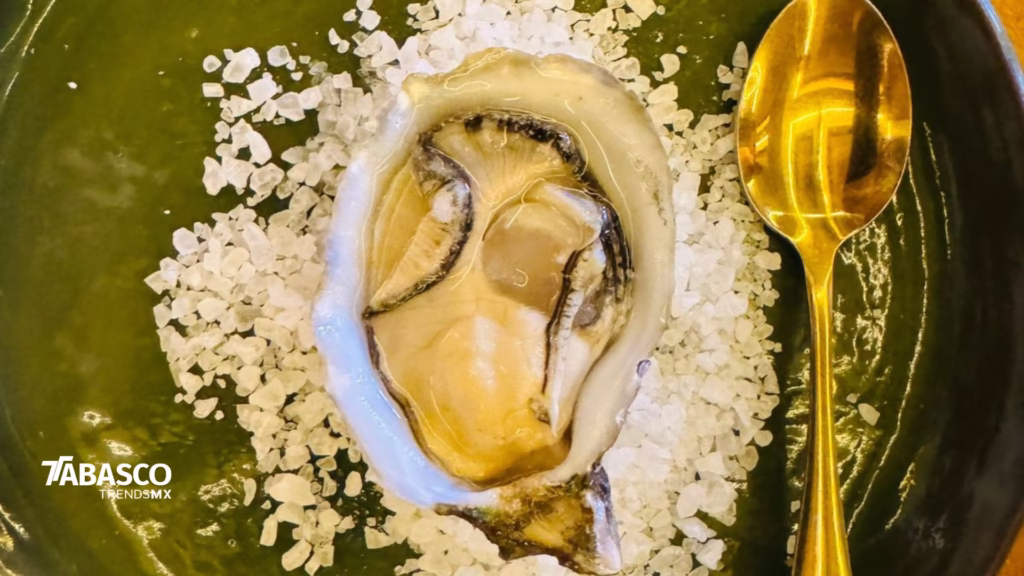 ¡La Ostioniza 2025: Una Jornada Inolvidable De Sabores Del Mar En La Cevichería Tabasco! 72 277