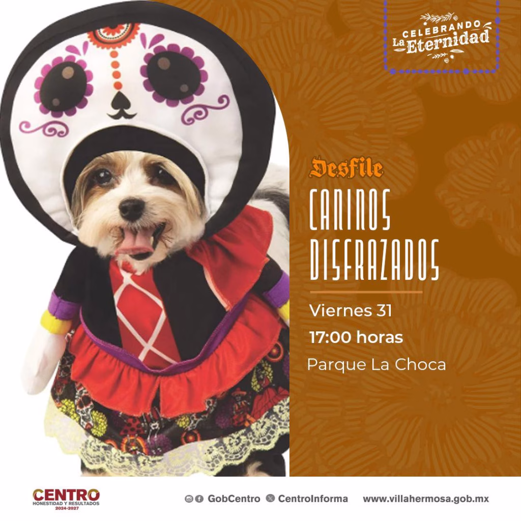 Desfile Canino Celebrando La Eternidad Llenara De Color Y Tradicion El Parque La Choca Este 31 De Octubre 2