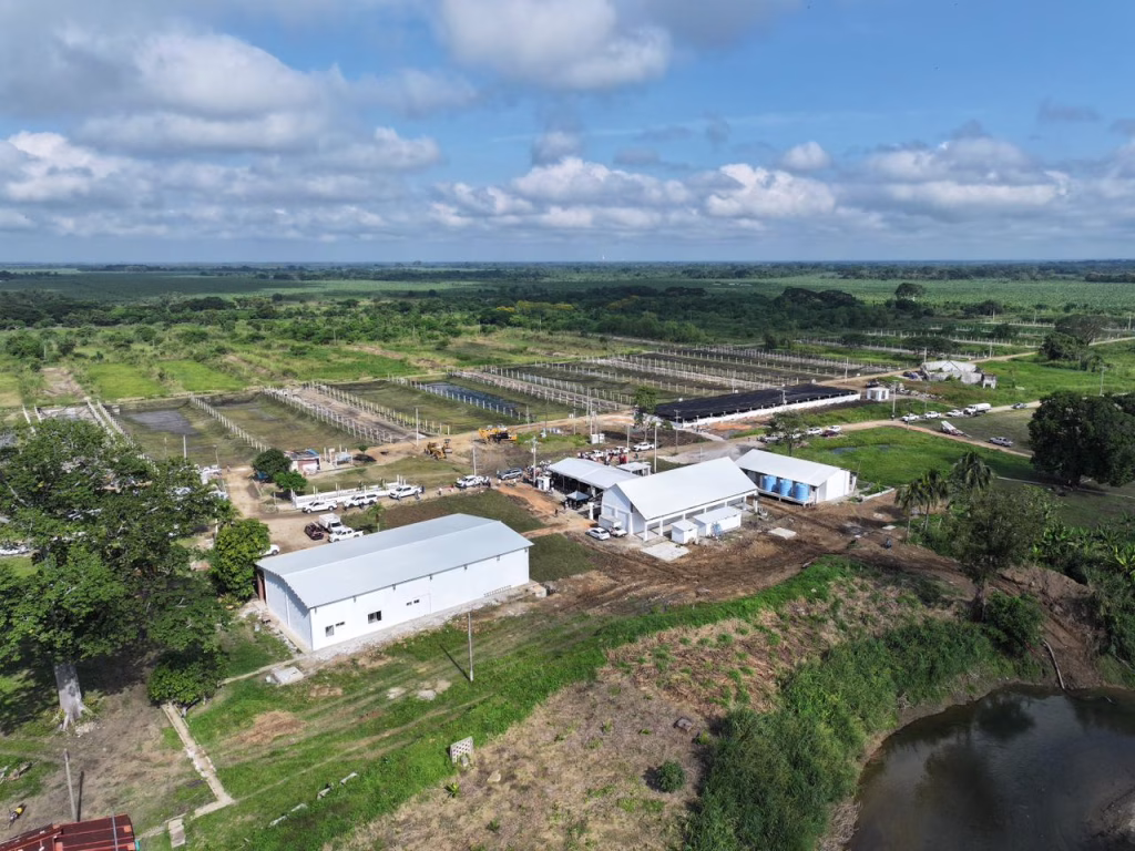Gobierno Del Pueblo Reactiva Piscifactoría De Teapa Y Busca Convertirla En La Más Grande Del País: Javier May 75 Inauguracion 1