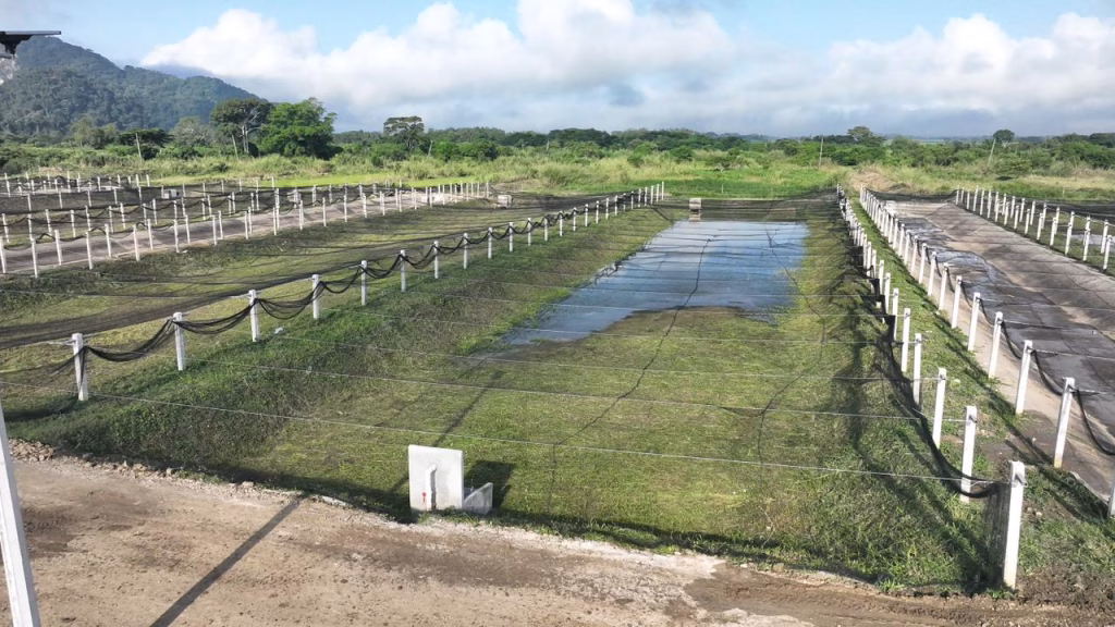 Gobierno Del Pueblo Reactiva Piscifactoría De Teapa Y Busca Convertirla En La Más Grande Del País: Javier May 78 Inauguracion 20