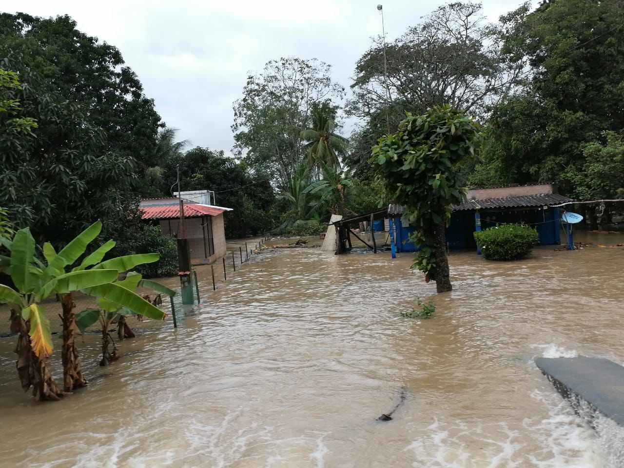 Emergencia en Teapa: Gobierno de Tabasco asiste a comunidades inundadas