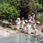 Una fila de personas vestidas con ropa tradicional blanca y sombreros de paja cruzan un arroyo poco profundo en una zona selvática. Llevan cestas con flores de colores vivos y ofrendas. El agua es clara y las rocas rodean la escena. La vegetación es densa y verde