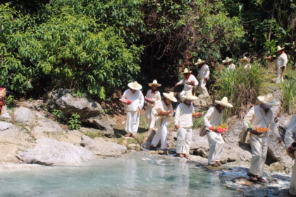 Una fila de personas vestidas con ropa tradicional blanca y sombreros de paja cruzan un arroyo poco profundo en una zona selvática. Llevan cestas con flores de colores vivos y ofrendas. El agua es clara y las rocas rodean la escena. La vegetación es densa y verde
