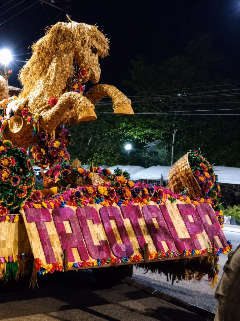 Fotografía Nocturna De Gran Angular Que Captura El Carro Alegórico De Tacotalpa Durante El Desfile. En Primer Plano, Destaca Un Caballo Monumental Erguido Sobre Sus Patas Traseras, Elaborado Íntegramente Con Fibras Vegetales Doradas Y Adornado Con Guirnaldas De Flores Artesanales.