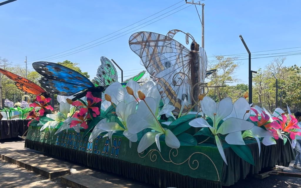 Fotografía De Primer Plano Del Carro Alegórico De Cunduacán En Preparación. Se Observan Mariposas Monumentales Con Alas De Colores Naranja, Azul Y Verde Que Sobresalen Entre Grandes Flores Blancas Hechas De Tela. La Base Del Carro Tiene Una Textura Verde Que Simula Pasto Y Está Adornada Con Detalles De &Quot;Las Blancas Mariposas&Quot;. Al Fondo Se Ve Vegetación Real Y Un Cielo Despejado.