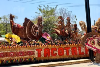 Fotografía De Un Carro Alegórico Del Municipio De Tacotalpa Para La Feria Tabasco 2026. La Estructura Está Completamente Revestida Con Fibras Naturales, Semillas Y Tejidos Artesanales En Tonos Ocres Y Café.