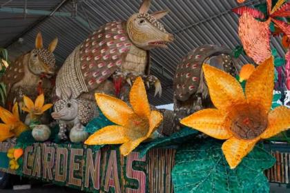 Fotografía De Primer Plano A Plena Luz Del Día Del Carro Alegórico De Cárdenas En Preparación. El Diseño Muestra Varias Figuras Monumentales De Armadillos Con Caparazones Detallados Hechos De Semillas Y Fibras Naturales, Que Parecen Emerger De Un Cañaveral.
