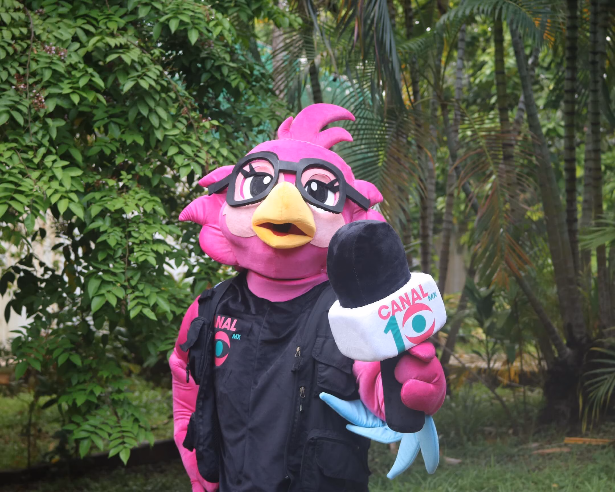 Canal 10 De La Chontalpa Celebra 15 Años Con El Lanzamiento De &Amp;Quot;10 Lora Comunicadora&Amp;Quot; 70 Primer Plano De La Mascota &Amp;Quot;10 Lora Comunicadora&Amp;Quot; Posando En Los Jardines Del Centro Cultural Quinta Grijalva. La Mascota Es Una Lora Rosa Con Anteojos Negros, Chaleco De Reportera Con El Logo De Canal 10 Y Sostiene Un Micrófono Institucional.