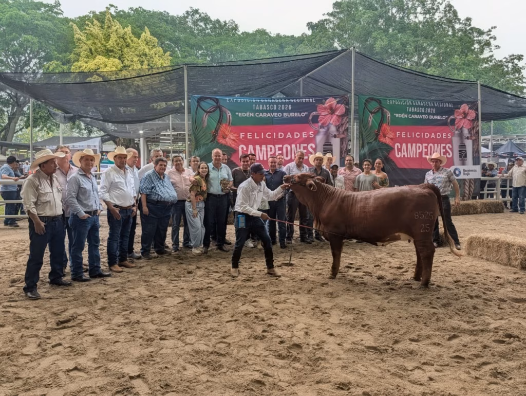 Fotografía Panorámica En Exteriores Del Evento De Premiación En La Exposición Ganadera Regional Tabasco 2026. Un Grupo De Aproximadamente 20 Personas, Entre Ganaderos Con Sombreros Vaqueros, Autoridades Y Expositores,.