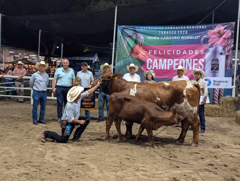 Fotografía Panorámica En Exteriores De La Premiación De La Exposición Ganadera Regional Tabasco 2026 En El Marco De La Feria Tabasco. Un Nutrido Grupo De Productores, Ganaderos Con Sombreros Vaqueros Y Autoridades Posan Sonrientes Frente A Dos Lonas Publicitarias.