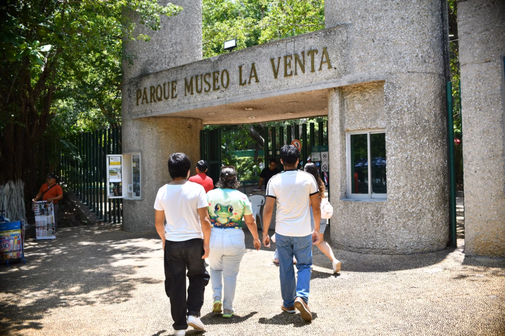 Gobernador Javier May Pone En Marcha La Rehabilitación Integral Del Parque Museo La Venta 71 Fotografía De Prensa En Plano Entero Y Formato Horizontal Que Muestra La Emblemática Entrada Principal Del Parque Museo La Venta En Villahermosa. La Fachada Consiste En Una Gran Estructura Arqueada De Concreto Con Acabado De Piedra Lavada Texturizada, Donde Se Lee En Letras Doradas En Relieve &Quot;Parque Museo La Venta&Quot;. En Primer Plano, De Espaldas A La Cámara, Un Grupo De Cuatro Visitantes Camina Hacia El Acceso Calado Con Rejas Verdes. El Entorno Está Rodeado De Frondosos Árboles Coloniales Que Proyectan Sombras Naturales Sobre El Suelo Empedrado, Reflejando Un Día Soleado Y El Ambiente Selvático Del Recinto.