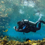 Un Buzo Con Equipo Completo De Buceo Autónomo Y Una Linterna Encendida Nada Horizontalmente En Agua Clara Y Turquesa Durante Una Exploración Subacuática. El Entorno Muestra Vegetación Acuática En El Fondo, Partículas Suspendidas Iluminadas Por La Luz Solar Y La Superficie Del Agua Visible Arriba.