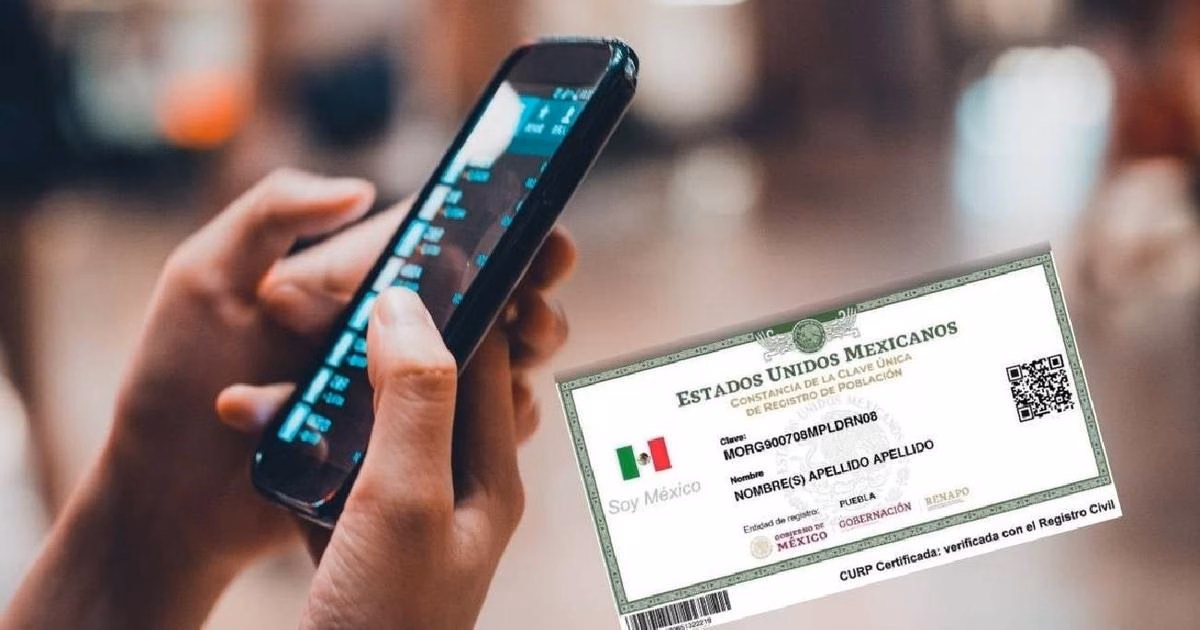 Cuenta Regresiva: Usuarios Tienen Hasta El 30 De Junio Para Registrar Su Línea Celular Con La Curp O Se Quedarán Sin Servicio 70 Imagen Compuesta En Primer Plano Que Muestra Las Manos De Una Persona Sosteniendo Un Teléfono Celular Inteligente De Color Negro Con La Pantalla Encendida Y Ligeramente Inclinada. Sobrepuesta En La Esquina Inferior Derecha, Se Aprecia De Forma Nítida Una Constancia Oficial Mexicana De La Curp (Clave Única De Registro De Población) En Formato Digital.