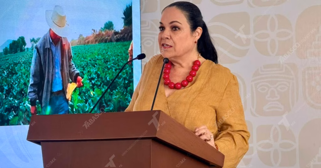 Encabeza Javier May Agenda De Infraestructura, Justicia Financiera Y Apoyo A La Juventud En Tabasco 3 Directora General Del Instituto Para Devolver Al Pueblo Lo Robado Indep Monica Fernandez Balboa