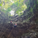Una Toma Desde El Interior De Una Enorme Cavidad Rocosa Vertical, Mirando Hacia La Superficie Iluminada Por El Sol, Donde La Densa Vegetación Y Los Árboles De La Selva Cubren El Borde Superior. Dos Exploradores Con Equipo Completo De Espeleísmo, Cascos Y Arneses Descienden Colgados De Cuerdas De Rappel A Mitad De La Imponente Pared De Piedra. Las Paredes Del Sótano Muestran Texturas Rocosas Naturales De Tonos Oscuros Con Lianas Colgantes, Musgo Y Algunos Helechos Silvestres Que Crecen En Los Costados.