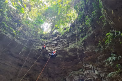 Una Toma Desde El Interior De Una Enorme Cavidad Rocosa Vertical, Mirando Hacia La Superficie Iluminada Por El Sol, Donde La Densa Vegetación Y Los Árboles De La Selva Cubren El Borde Superior. Dos Exploradores Con Equipo Completo De Espeleísmo, Cascos Y Arneses Descienden Colgados De Cuerdas De Rappel A Mitad De La Imponente Pared De Piedra. Las Paredes Del Sótano Muestran Texturas Rocosas Naturales De Tonos Oscuros Con Lianas Colgantes, Musgo Y Algunos Helechos Silvestres Que Crecen En Los Costados.
