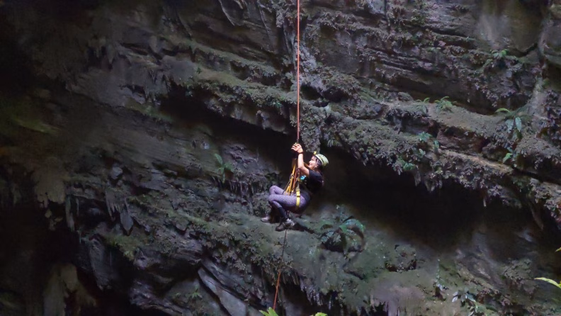 El Sótano Del Niño Perdido: El Impresionante Secreto De Aventura Extrema Oculto En La Sierra De Tabasco 71 Una Mujer Realiza Un Descenso En Rappel Suspendida En El Aire Frente A Una Imponente Pared De Roca Subterránea. La Exploradora Viste Ropa Deportiva Con Leggings Estampados, Playera Oscura, Arnés De Seguridad Amarillo Y Un Casco De Protección Claro Con Lámpara Frontal. Sostiene Firmemente La Cuerda Naranja Que Cae Verticalmente Desde La Parte Superior. Al Fondo, La Gran Formación Rocosa Del Sótano Muestra Relieves Naturales, Grietas Profundas Y Pequeñas Plantas, Helechos Y Musgo Distribuidos En Las Salientes De Piedra.