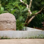 Una Cabeza Colosal Olmeca De Piedra Exhibida Al Aire Libre En El Parque Museo La Venta, Rodeada De Abundante Vegetación Tropical, Palmeras, Árboles Y Un Sendero Pavimentado Delimitado Por Una Jardinera De Concreto Gris.
