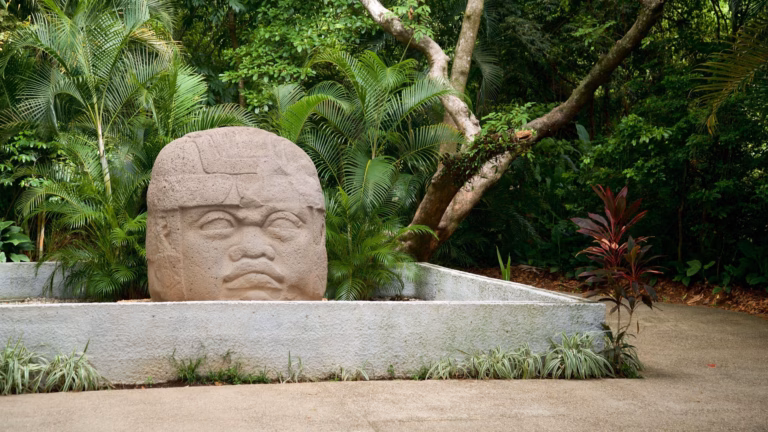 Una Cabeza Colosal Olmeca De Piedra Exhibida Al Aire Libre En El Parque Museo La Venta, Rodeada De Abundante Vegetación Tropical, Palmeras, Árboles Y Un Sendero Pavimentado Delimitado Por Una Jardinera De Concreto Gris.