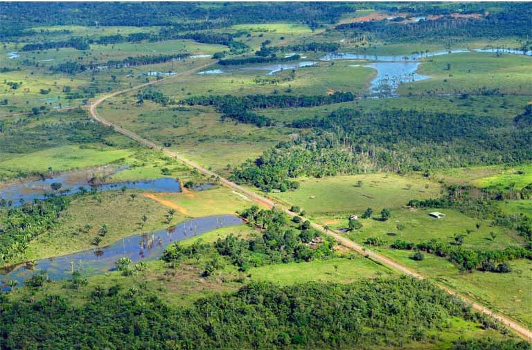 Vista Aérea De Las Tierras Bajas En La Región Amazónica De Brasil, Mostrando Extensas Llanuras Verdes, Pequeños Cuerpos De Agua E Inundaciones Con Caminos Rurales Y Vegetación Selvática.
