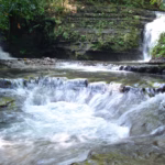 Una Cascada De Agua Cristalina Fluye Entre Rocas Escalonadas Formando Pequeñas Pozas Naturales En Medio De La Densa Selva De Huimanguillo. Al Fondo Se Aprecian Caídas De Agua Adicionales Y Paredes Rocosas Rodeadas De Vegetación Verde Y Húmeda.