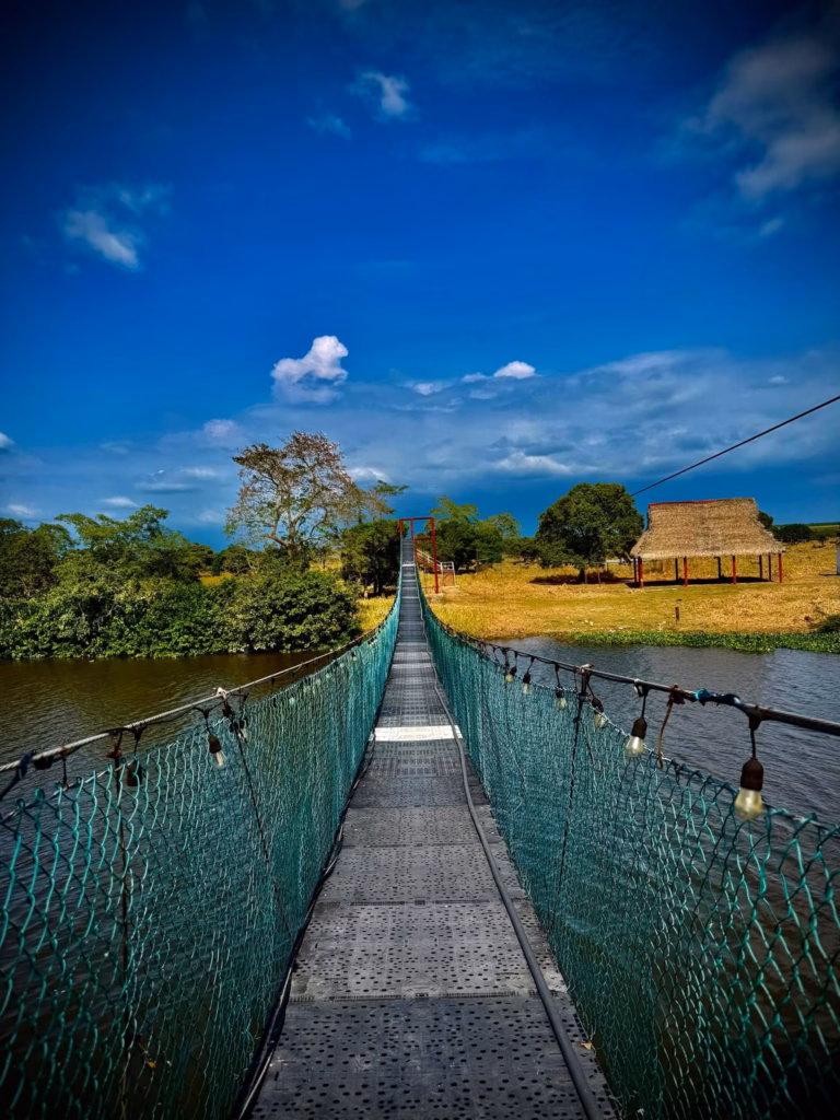 Vista Desde El Centro Del Puente Colgante Veracruz Y Tabasco Sobre El Río Tancochapa En Las Choapas, Rodeado De Vegetación Tropical Y Un Cielo Azul Con Nubes Bajo El Sol.