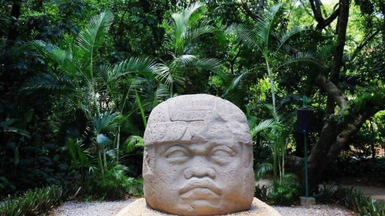 Cabeza Colosal Olmeca Expuesta Entre Vegetación Tropical En El Parque Museo La Venta En Villahermosa, Tabasco.
