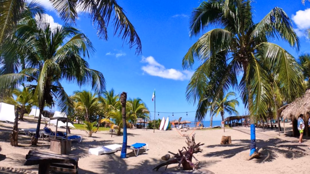 Vista De Playa Chambor En Centla, Tabasco, Rodeada De Palmeras Tropicales, Camastros, Palapas De Paja Y Arena Beige Bajo Un Cielo Azul Despejado.