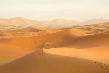 Extensas Dunas De Arena En El Desierto Del Sahara Bajo Un Cielo Despejado, Origen De Las Partículas De Polvo Que Alcanzan El Sureste Mexicano.