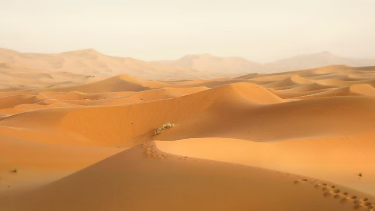 Extensas Dunas De Arena En El Desierto Del Sahara Bajo Un Cielo Despejado, Origen De Las Partículas De Polvo Que Alcanzan El Sureste Mexicano.
