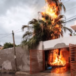 Rayo Calcina Palmera En Villahermosa ¿Que Hacer Ante Una Tormenta Electrica