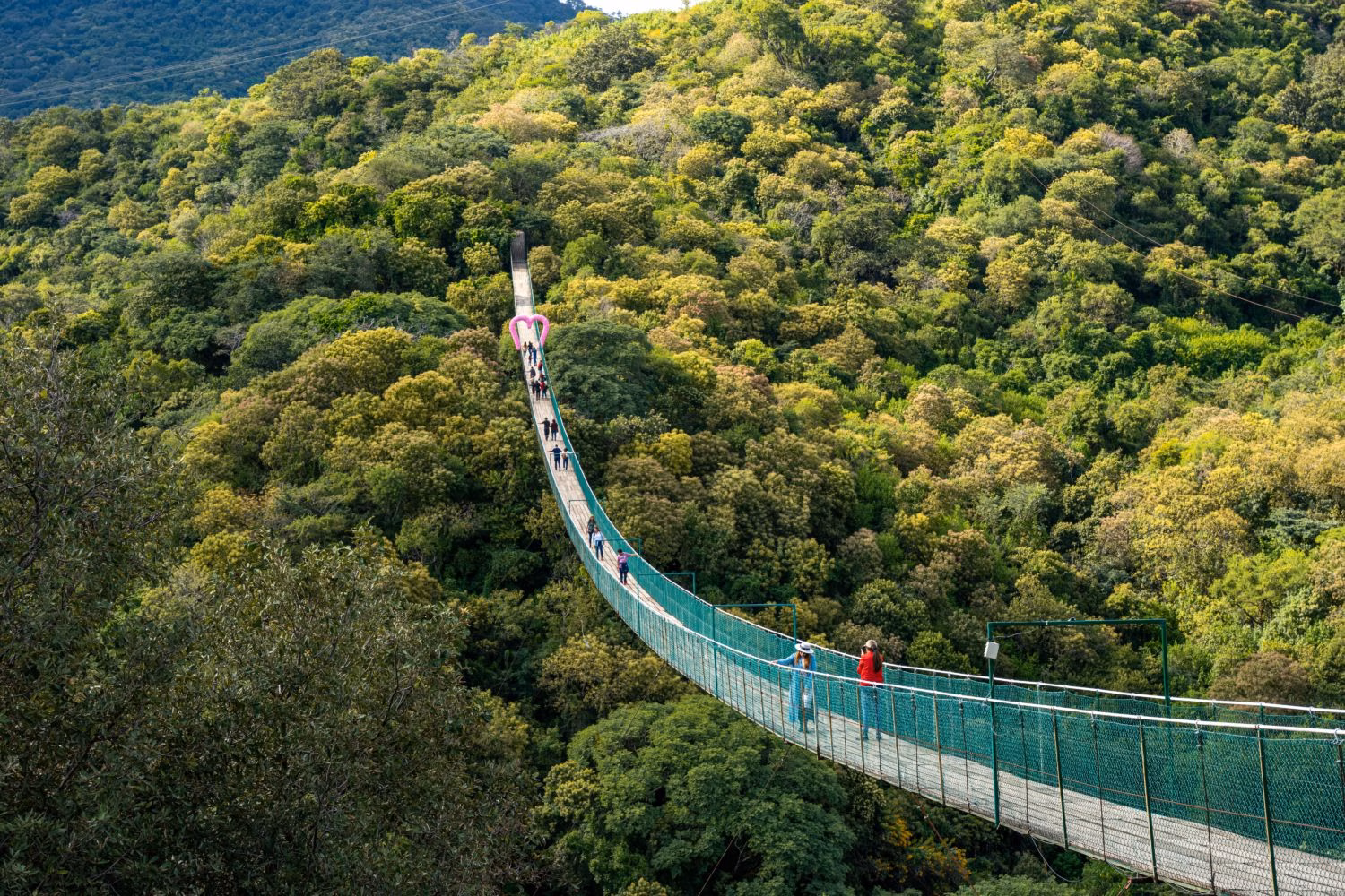 Vista Aérea Del Puente Colgante Peatonal Las Choapas Suspendido A Gran Altura Sobre Un Denso Bosque Tropical, Con Personas Caminando A Lo Largo De La Estructura.