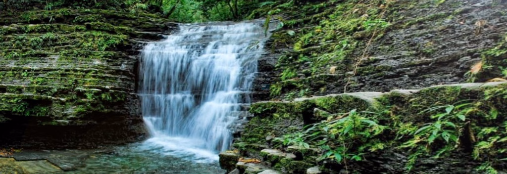 Paraíso Tropical: 4 Destinos Naturales E Imperdibles Para Refrescarte Del Calor En Tabasco 3 Agua Selva En Huimanguillo
