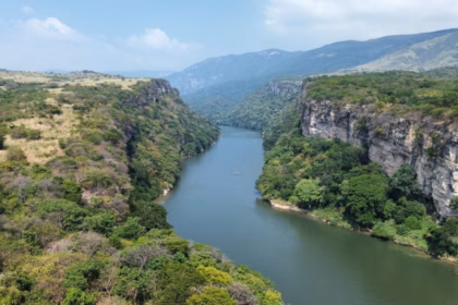 Vista Aérea Del Río Grijalva Fluyendo A Través De Un Impresionante Cañón Rodeado De Vegetación Y Acantilados.