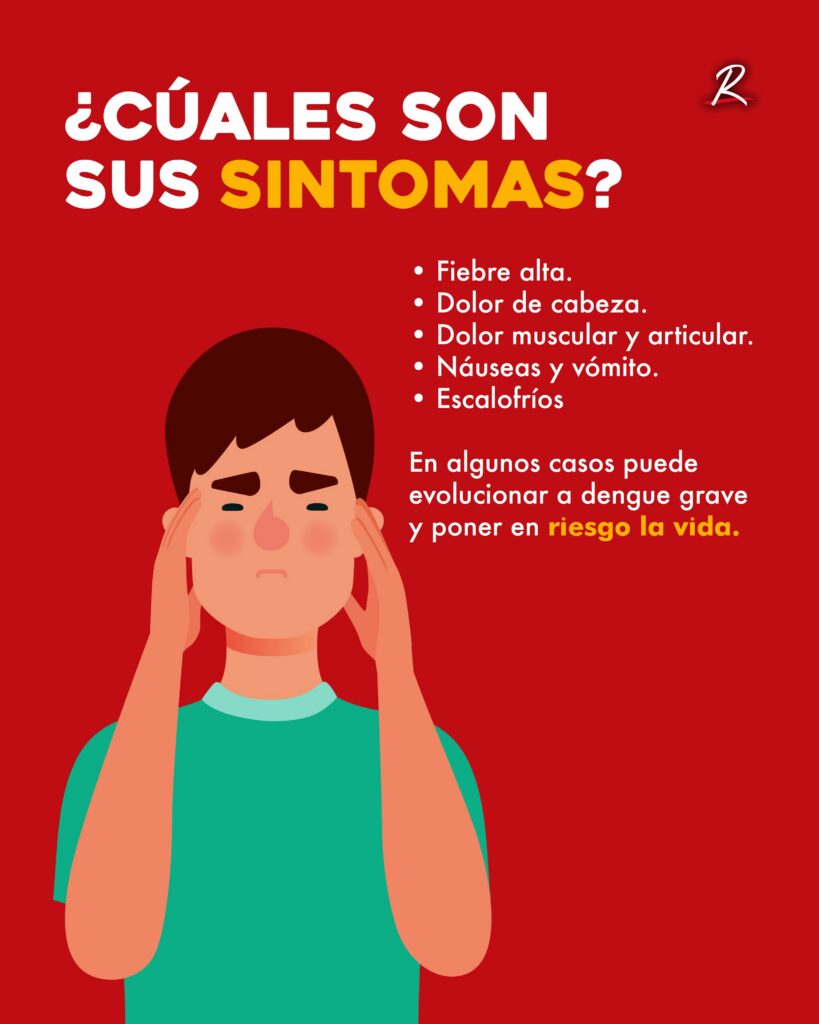 El Peligro Invisible Del Dengue: Por Qué La Automedicación Puede Volver Mortal Una Infección Febril 74 Dengue