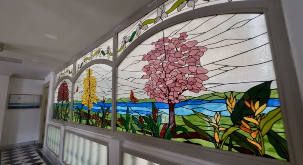 Hospital Zumaya Integrará El Arte Y La Cultura De Tabasco En Sus Pasillos: Alejandro Yusseff 10 Hospital Zumaya Vestira Sus Espacios Con La Riqueza Cultural De Tabasco Destaca Alejandro Yusseff