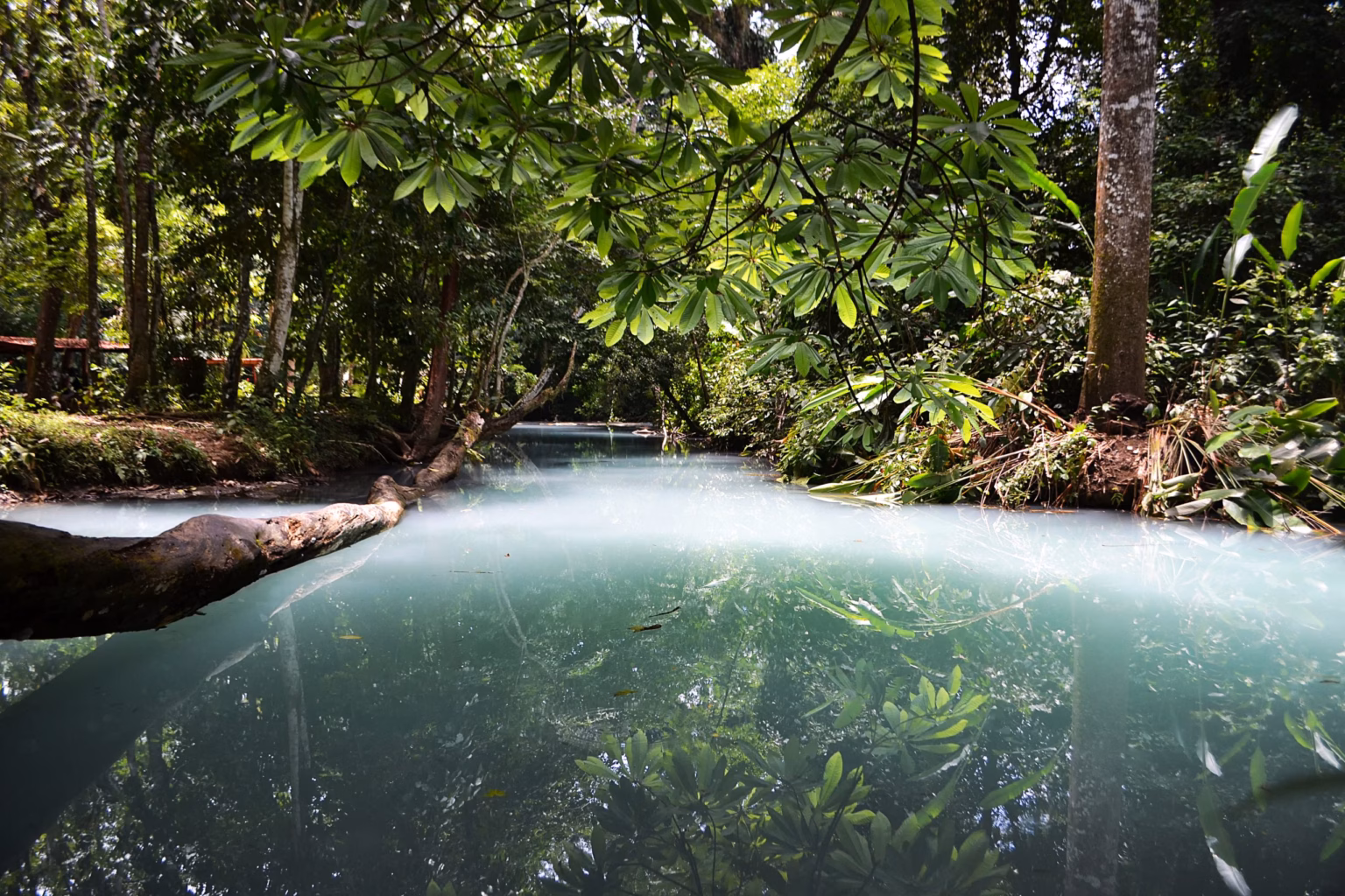 Paisaje De Un Río De Aguas Turquesas Rodeado De Frondosa Vegetación Selvática, Ideal Entre Los Destinos Naturales En Tabasco Para Refrescarte.