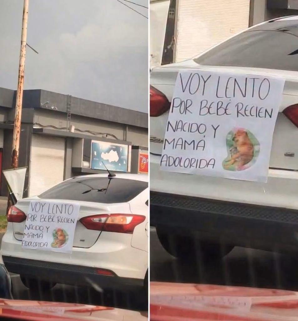 Díptico De Imágenes Que Muestra La Parte Trasera De Un Automóvil Blanco Con Un Cartel Manuscrito Pegado Que Dice &Quot;Voy Lento Por Bebé Recien Nacido Y Mamá Adolorida&Quot;.