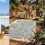 Collage De Tres Fotografías De Época Que Muestran La Entrada Original, A Una Familia Junto Al Mosaico Olmeca Y Una Cabeza Colosal En El Parque-Museo De La Venta En Los Años 60.