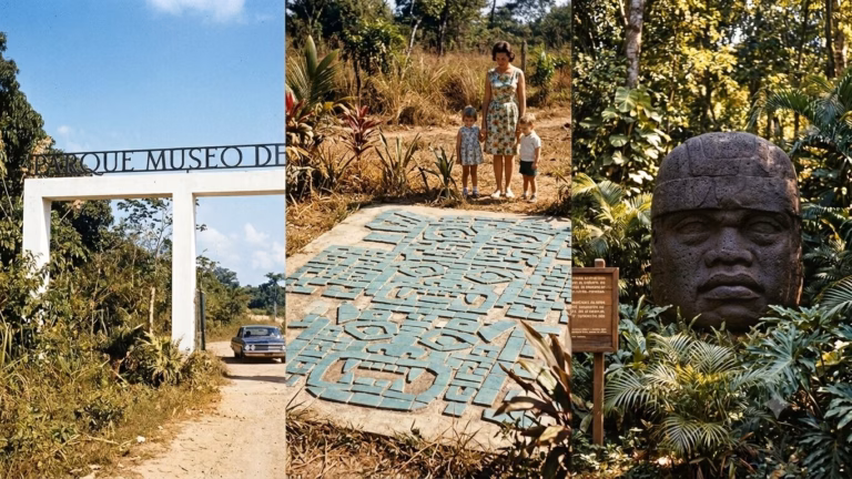 Collage De Tres Fotografías De Época Que Muestran La Entrada Original, A Una Familia Junto Al Mosaico Olmeca Y Una Cabeza Colosal En El Parque-Museo De La Venta En Los Años 60.