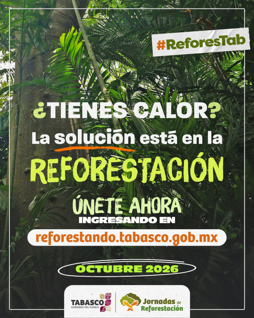Reforestación: 10 Increíbles Beneficios De Plantar Árboles Para Un Futuro Sostenible Cartel Institucional De La Campaña Reforestab Con Vegetación Tropical De Fondo Y Textos En Color Blanco Y Amarillo Que Invitan A La Reforestación En Tabasco.